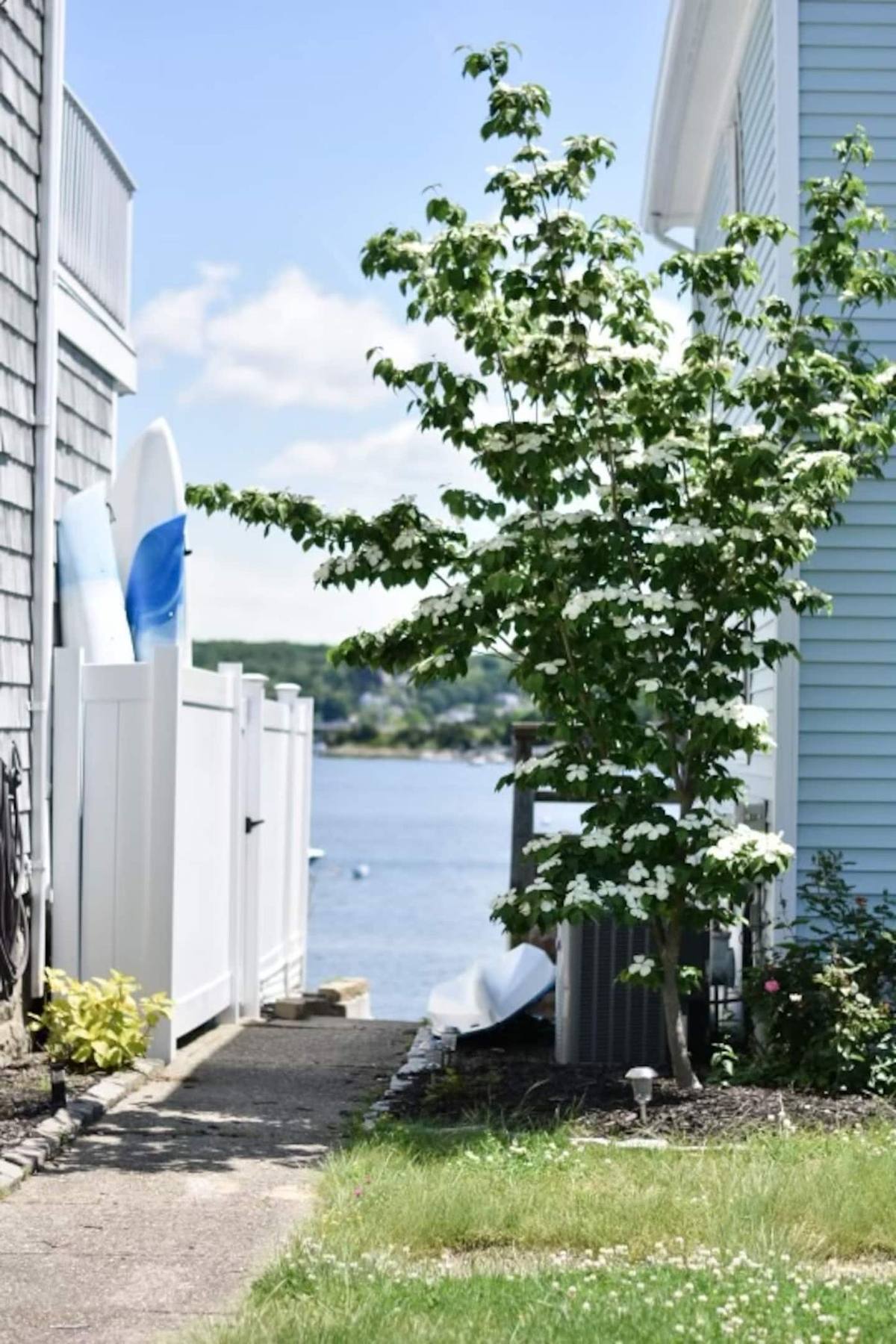 Morningside Cove photo 60